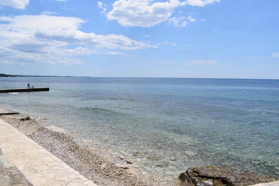 Apartment Matea Novigrad Istria المظهر الخارجي الصورة
