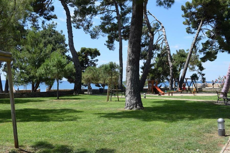 Apartment Matea Novigrad Istria المظهر الخارجي الصورة