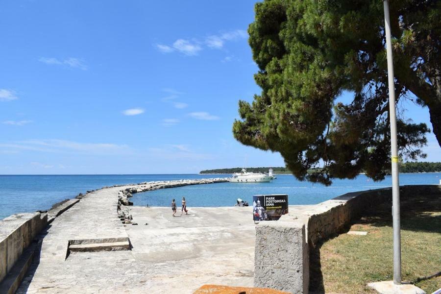 Apartment Matea Novigrad Istria المظهر الخارجي الصورة